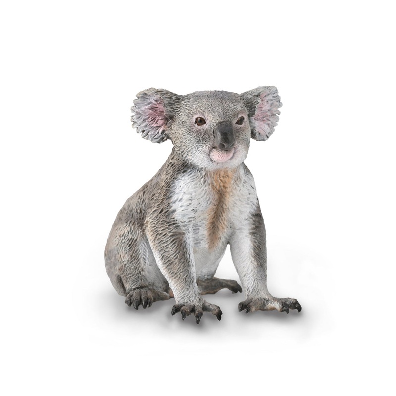 CollectA Koala M