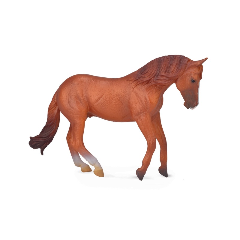 CollectA XL Stock Horse Stallion