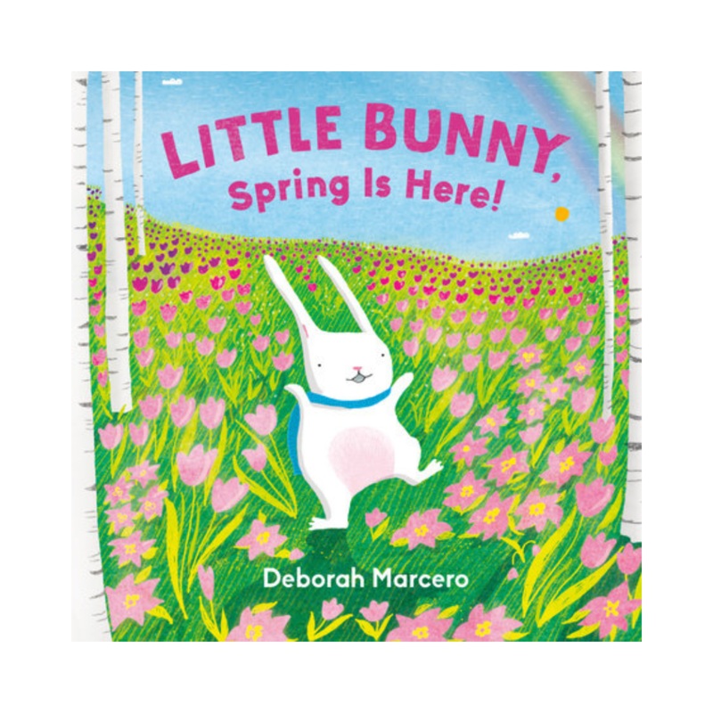 Little Bunny, Spring is Here! – Board Book