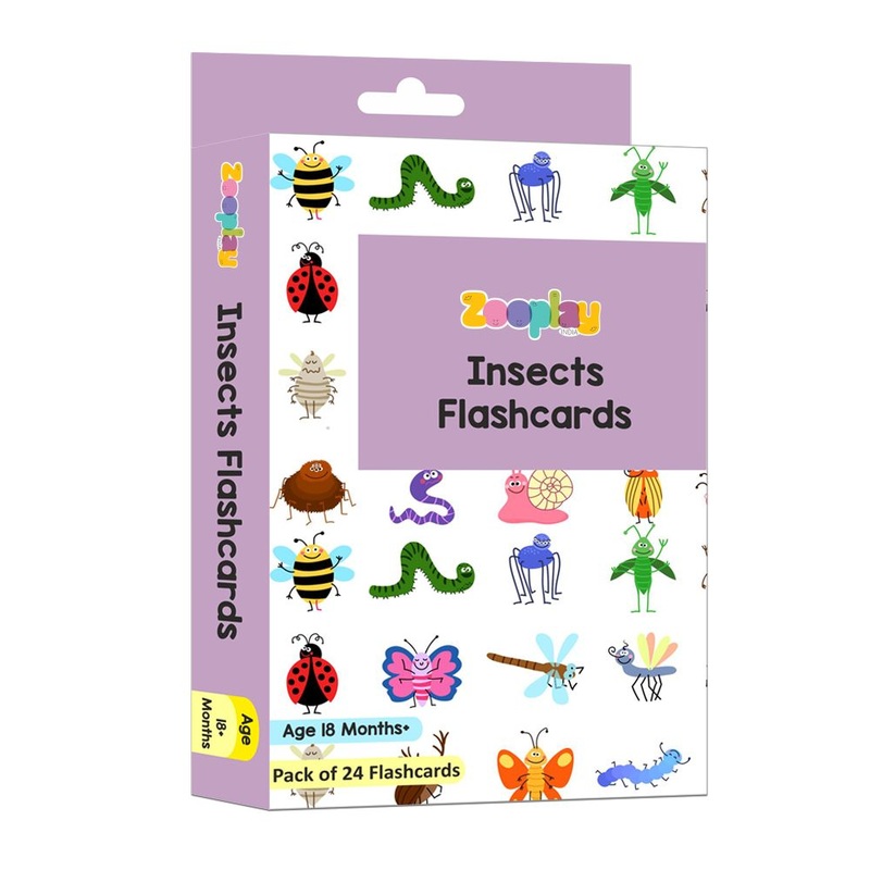 Insect Flash Cards- Pack of 24