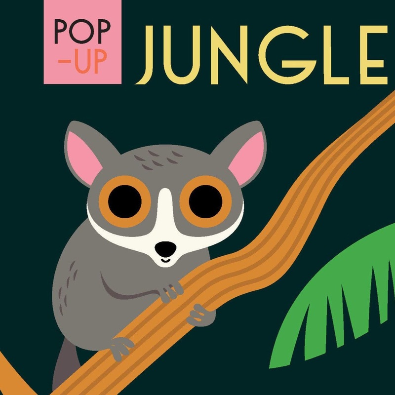 Pop-up Jungle – Hardcover