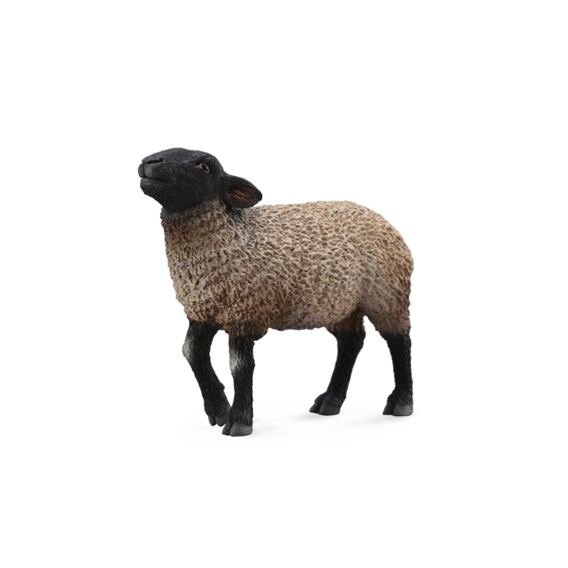 CollectA Suffolk Sheep Medium