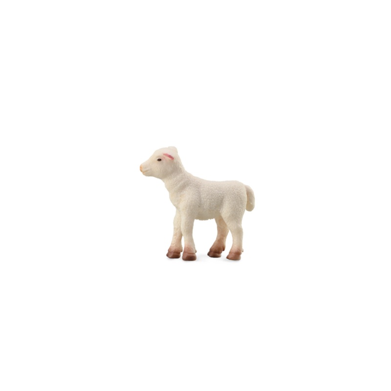 CollectA Lamb Standing Small