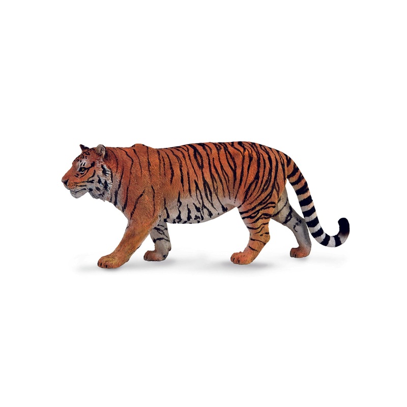 CollectA XL Siberian Tiger