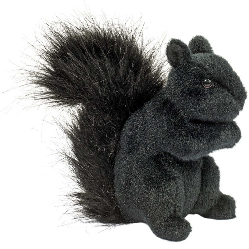 Black Squirrel
