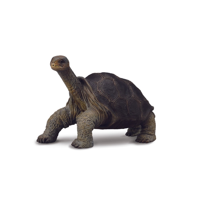 CollectA M Tortoise Pinta Island
