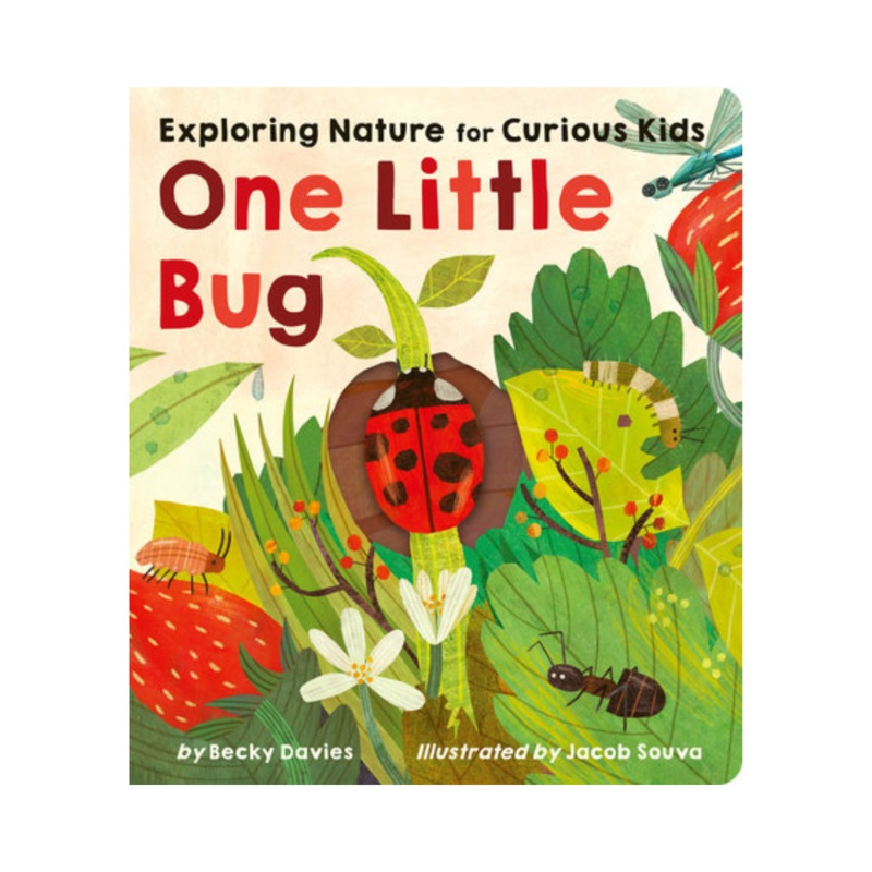 One Little Bug – Board Book