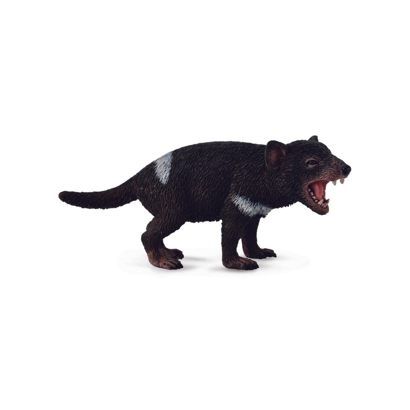 CollectA M Tasmanian Devil