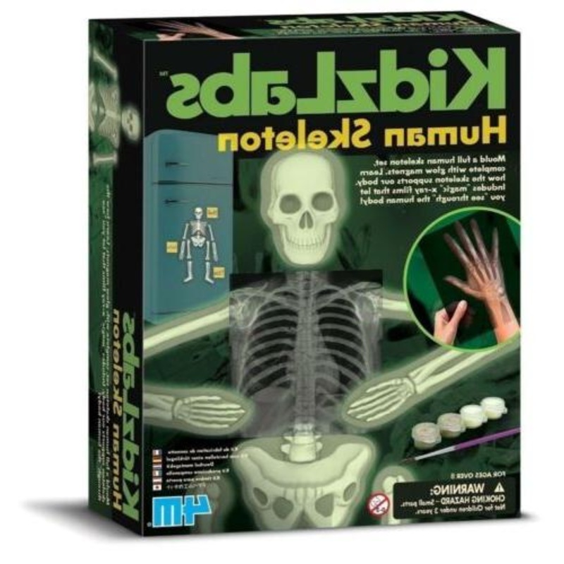 4M Glow Human Skeleton Science Kit(DISC)
