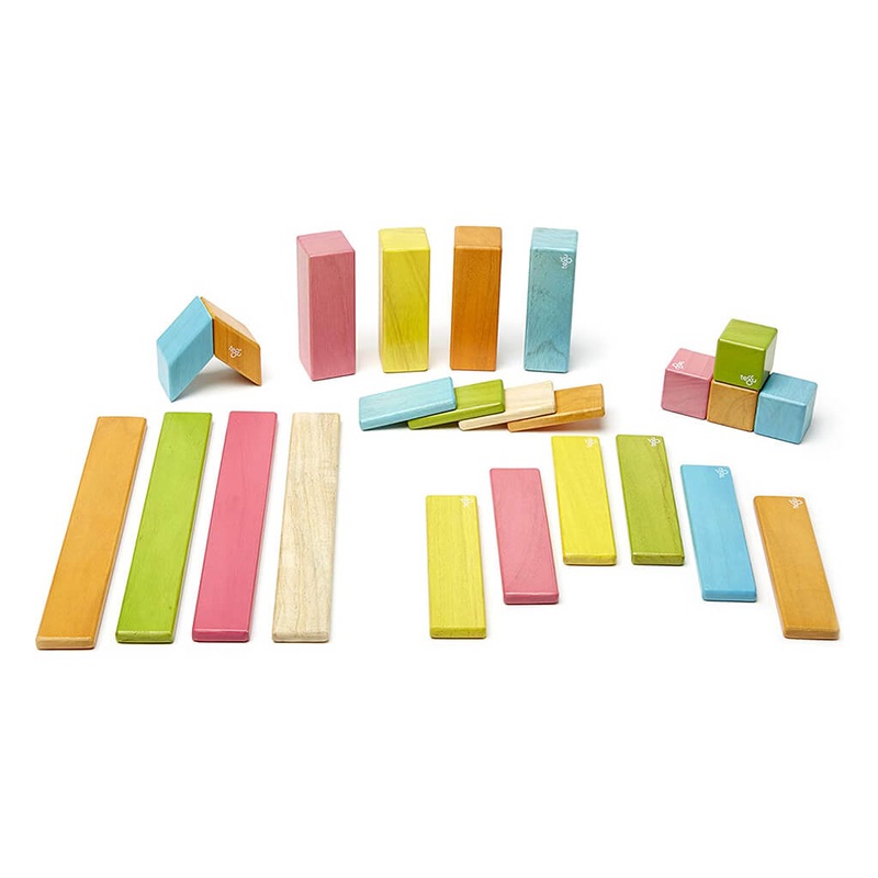 Magnetic Wooden Blocks Tints 24 Piece Set