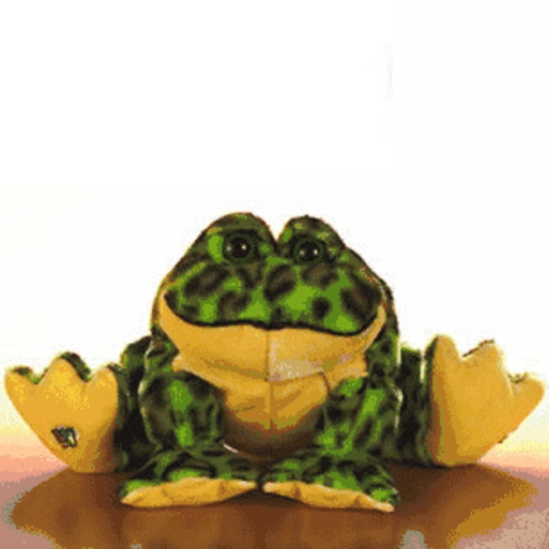 Webkinz Bull Frog