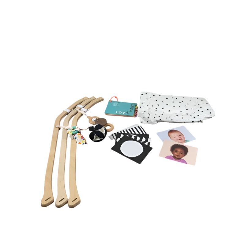 Lovevery The Play Gym