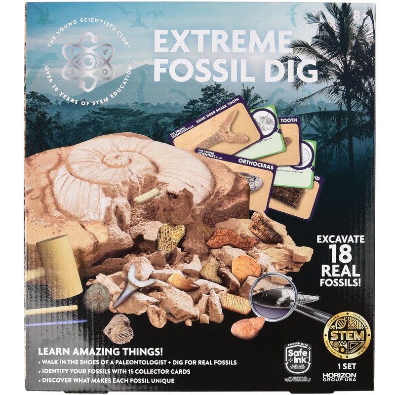 The Young Scientists Club Extreme Fossil Dig