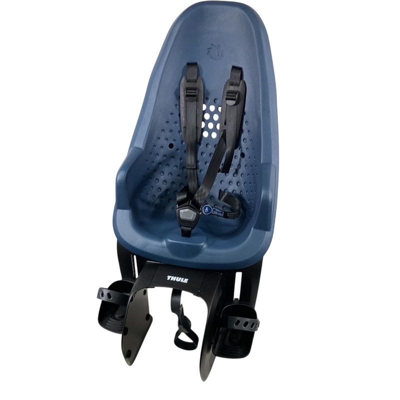 Thule Yepp 2 Maxi Rack Mounted Child Bike Seat, Majolica Blue