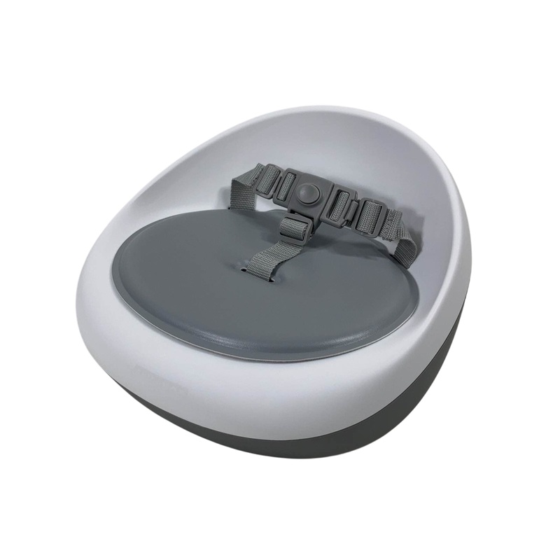 Skip Hop Booster Seat