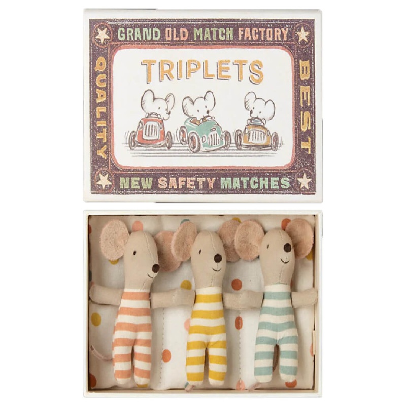 Baby Mice Triplets in Matchbox