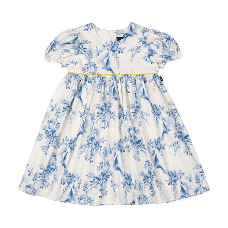 Summer Toile Dress