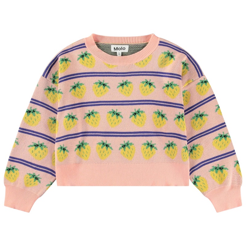 Gerrie Jumper – Nature Fruits