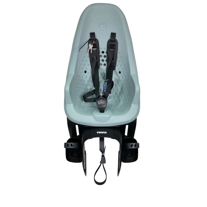 Thule Yepp 2 Maxi, Alaska, Rack Mount