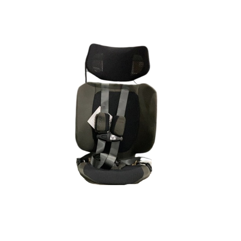 WAYB Pico Portable Car Seat, 2019, Earth