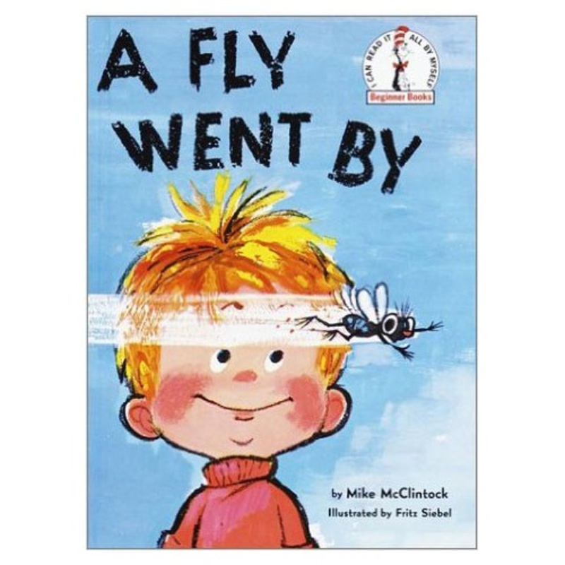 A Fly Went By