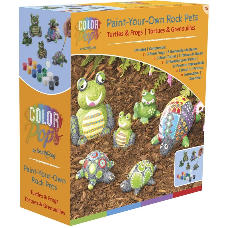 Turtles and Frogs Paint-A-Rock Pet Kit