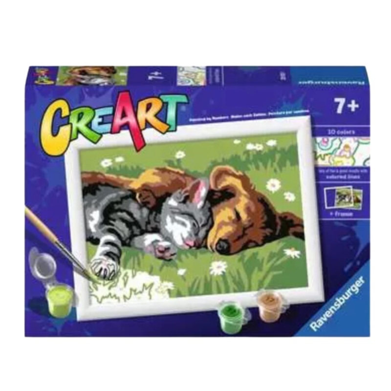 Sleeping Cat and Dog