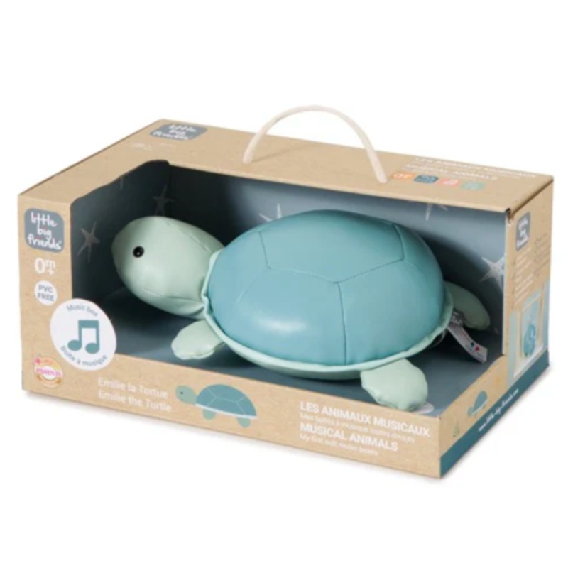 Turtle Musical Animal
