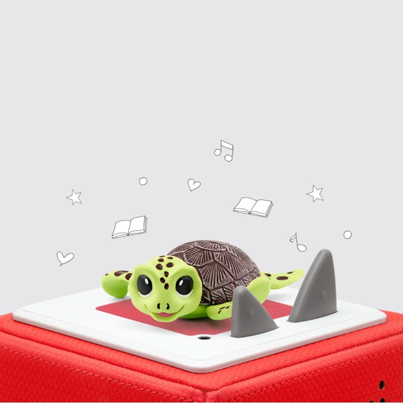 Sea Turtle Conservation Crew