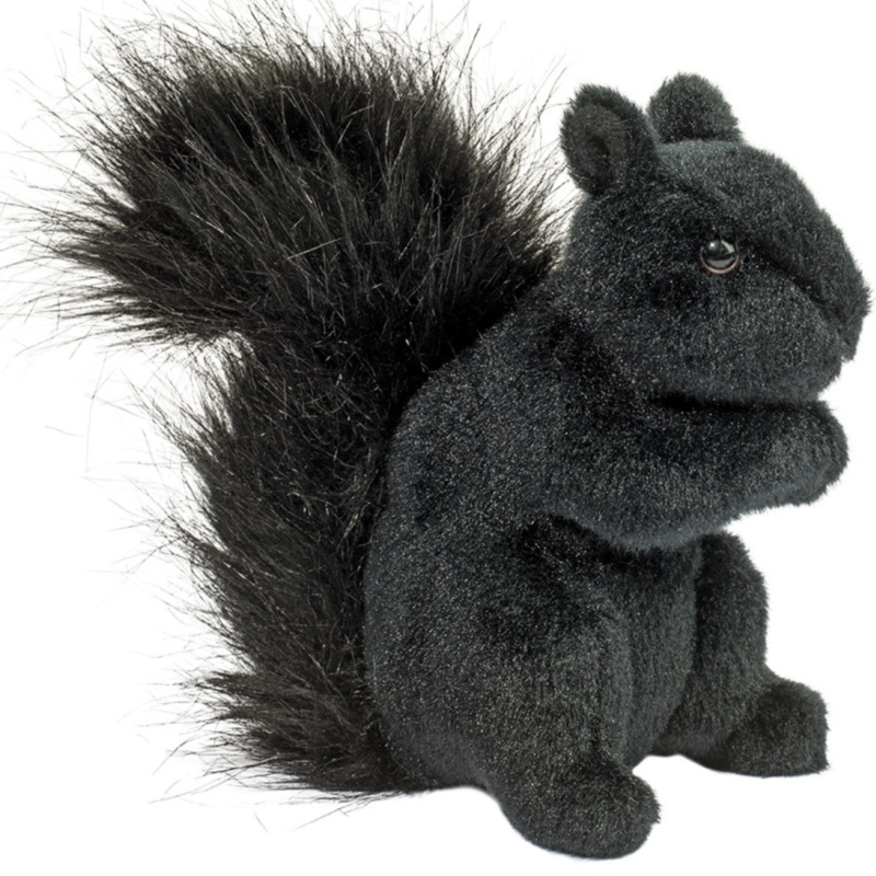 Black Squirrel