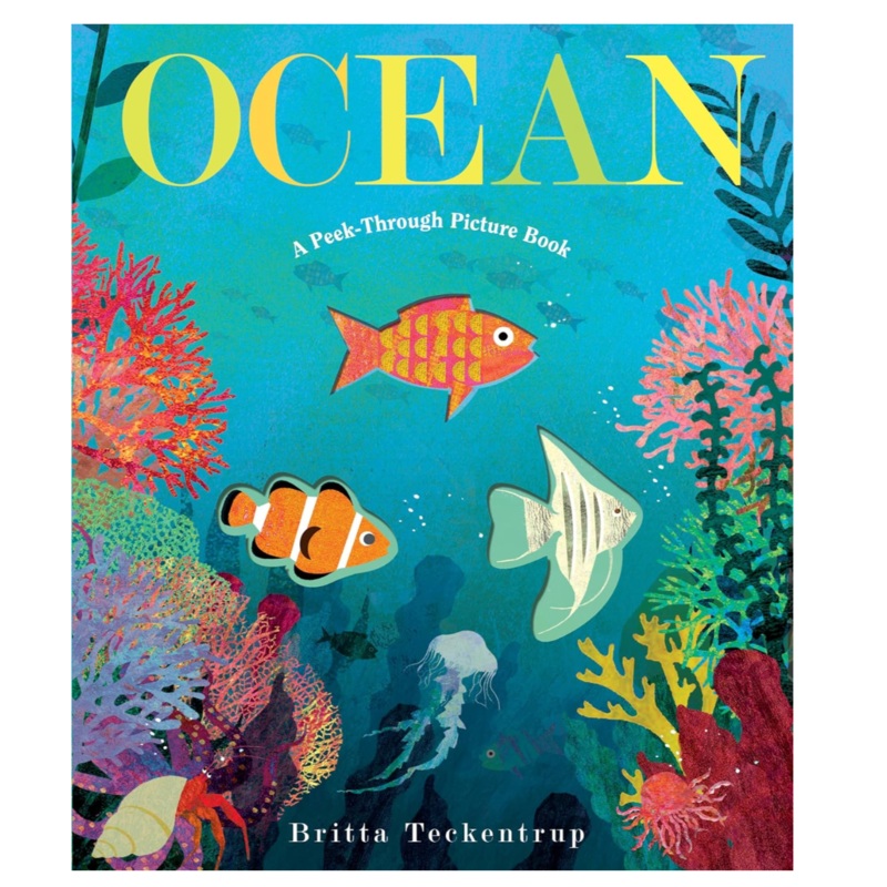 Ocean: A Peek Through Board Book
