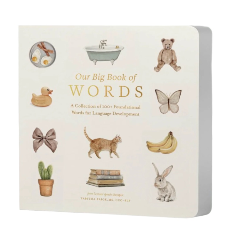 Our Big Book of Words