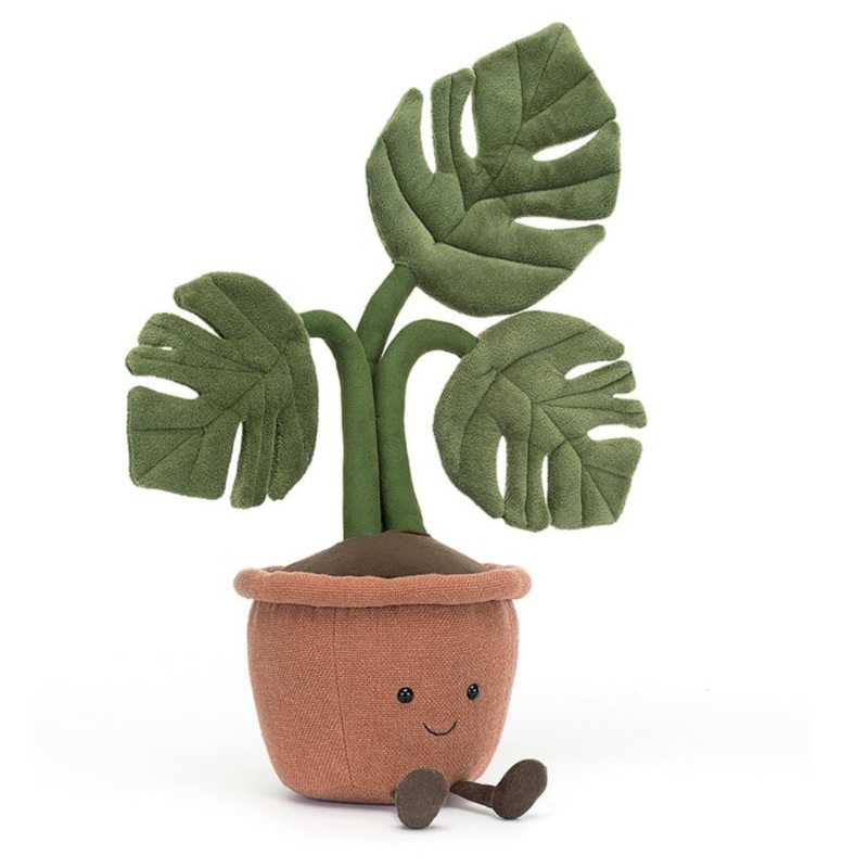 Amuseable Monstera Plant