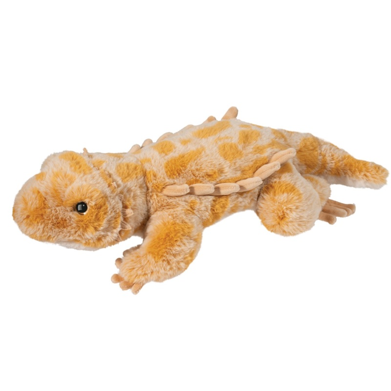 Boogie Bearded Dragon