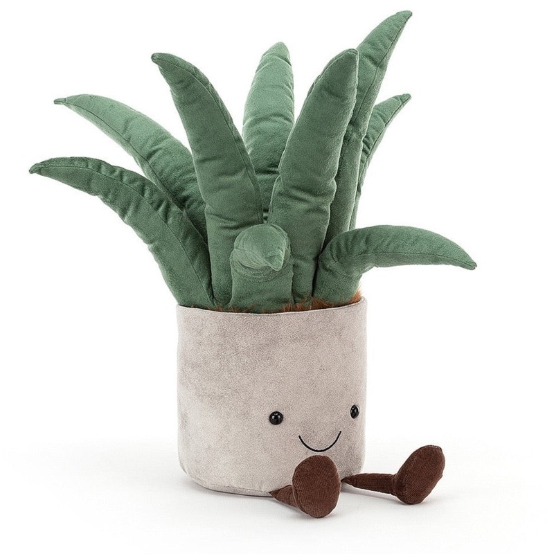 Big Amuseable Aloe Vera