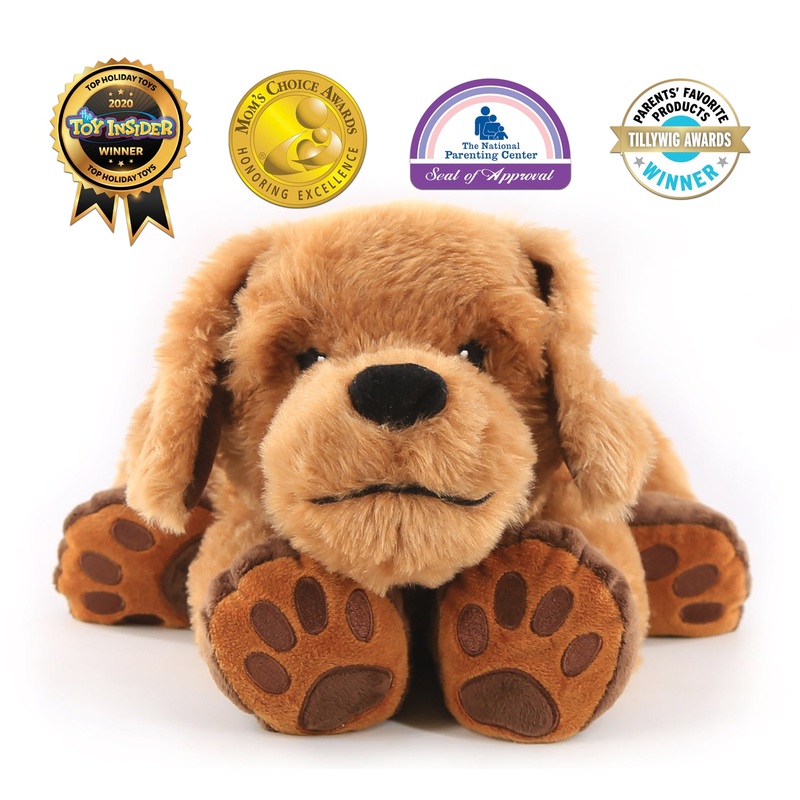 Theo the Therapy Dog