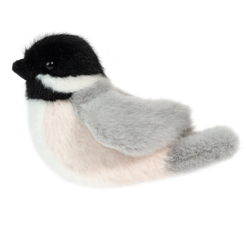 Chipper Chickadee Bird
