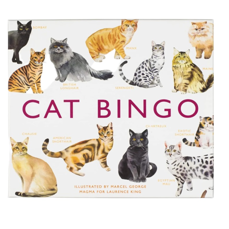 Cat Bingo