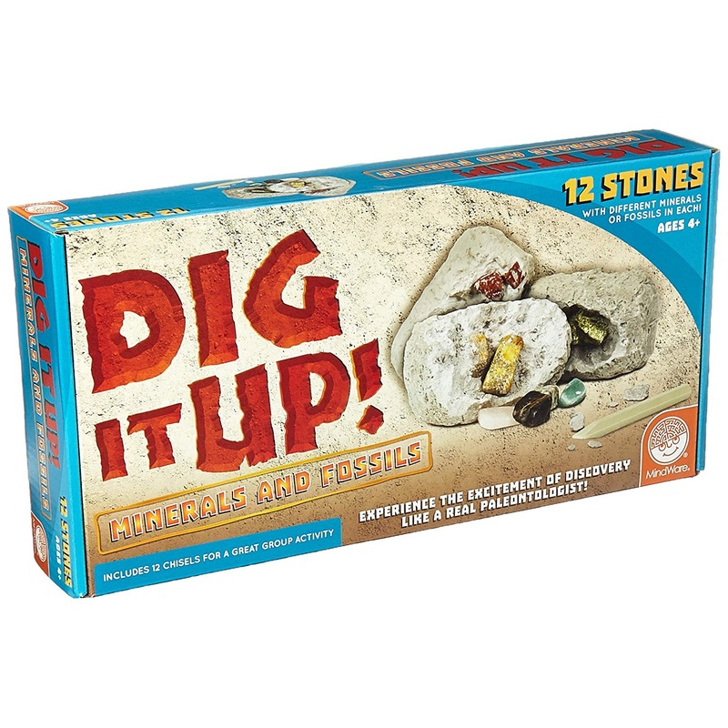 Dig It Up! Fossils & Minerals