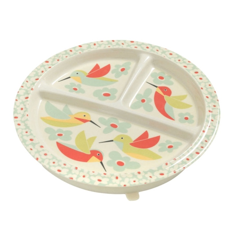 Divided Suction Plate – Hummingbird