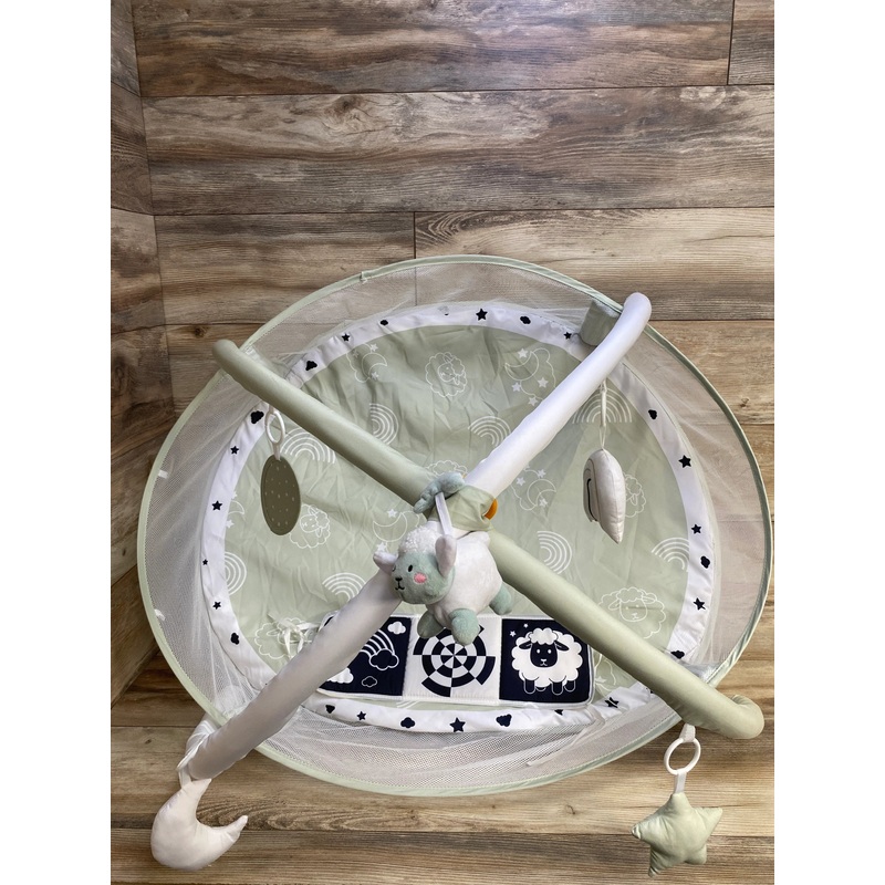 Aila + Aiden 6-in-1 XL Play Mat & Activity Gym, Sage