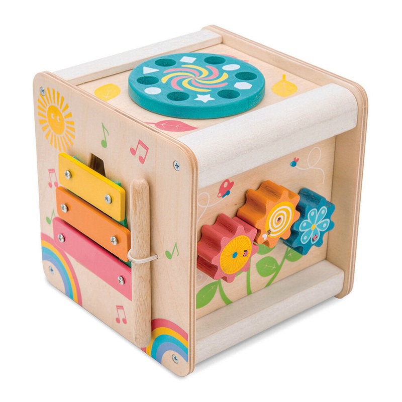 Petit Activity Cube