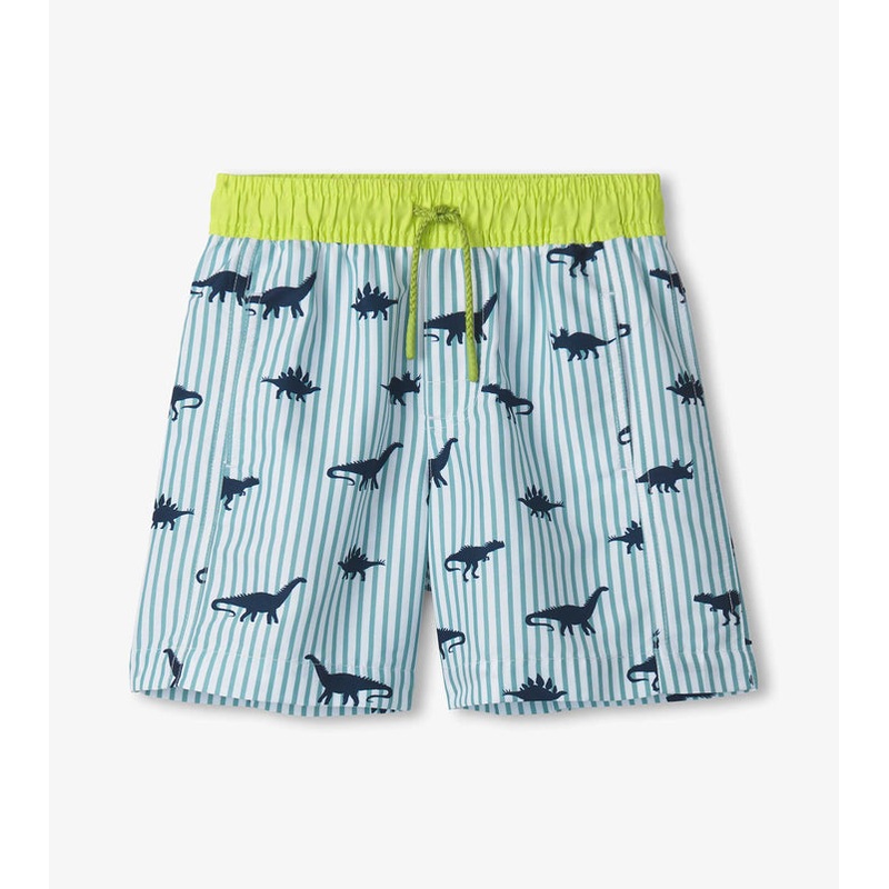 Swim Trunks – Dino Stripes 2T