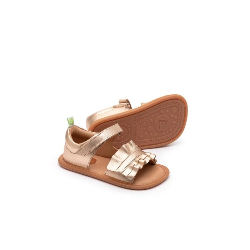 Tip Toey Joey Ruffy – M.Salmon