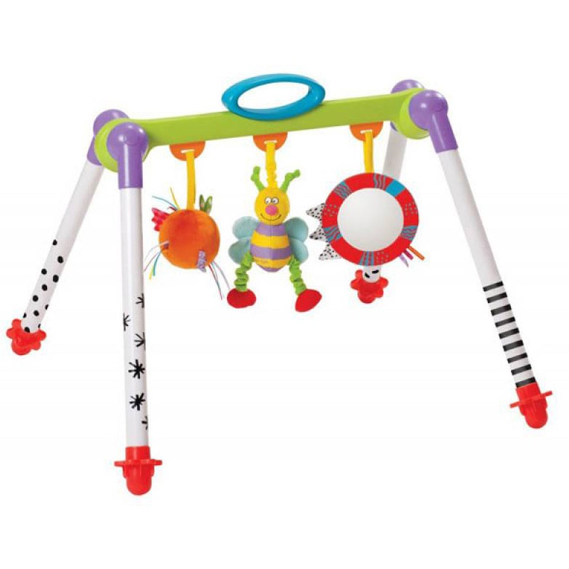 Taf Toys Take-to-Play Baby Gym