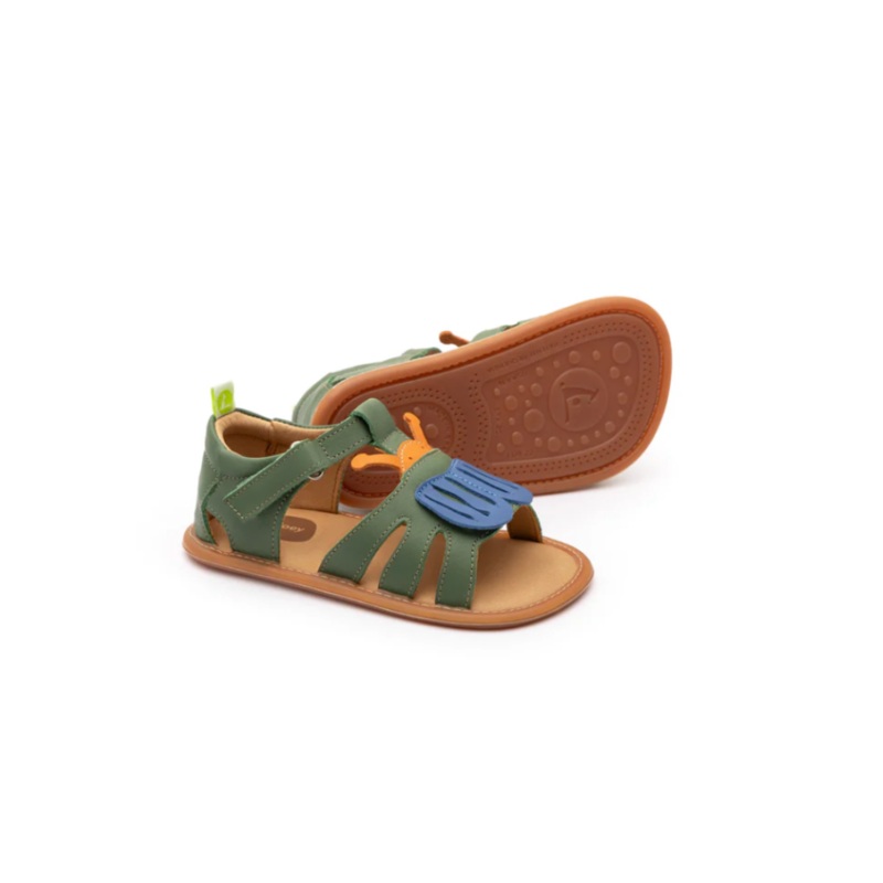 Tip Toey Joey Beetle (Salsa/Blue Tang/Tangerine)