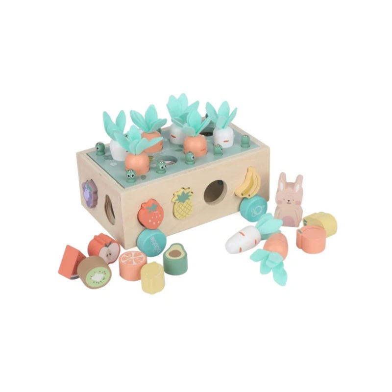 Bubble Wooden Vegetable Garden