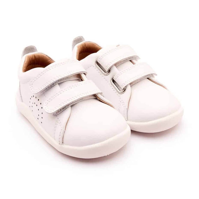 Capsicum Orange Imported – Vegetable Seeds