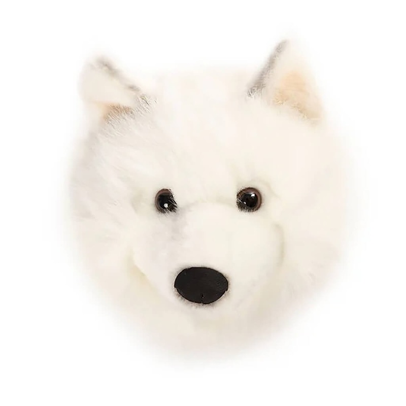 Rubber Tree, Rubber Plant, Ficus elastica (Black Prince, Burgundy) – Plant