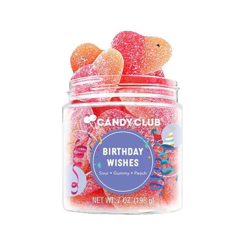 Senecio radicans – Succulent Plant